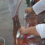 Vraj-Yatra-2014- (816)